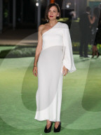 PEOPLE - Academy Museum of Motion Pictures Opening Gala in Los Angeles