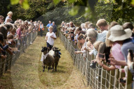 The annual Masham sheep fair was started 30 years ago to celebrate the North Yorkshire town’s rich heritage. It is held in one of the largest market squares in England, where in the past more than 70,000 sheep a year were traded