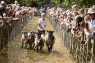 The annual Masham sheep fair was started 30 years ago to celebrate the North Yorkshire town’s rich heritage. It is held in one of the largest market squares in England, where in the past more than 70,000 sheep a year were traded