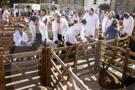 The annual Masham sheep fair was started 30 years ago to celebrate the North Yorkshire town’s rich heritage. It is held in one of the largest market squares in England, where in the past more than 70,000 sheep a year were traded