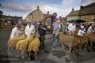 The annual Masham sheep fair was started 30 years ago to celebrate the North Yorkshire town’s rich heritage. It is held in one of the largest market squares in England, where in the past more than 70,000 sheep a year were traded