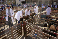 The annual Masham sheep fair was started 30 years ago to celebrate the North Yorkshire town’s rich heritage. It is held in one of the largest market squares in England, where in the past more than 70,000 sheep a year were traded