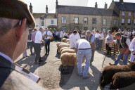 The annual Masham sheep fair was started 30 years ago to celebrate the North Yorkshire town’s rich heritage. It is held in one of the largest market squares in England, where in the past more than 70,000 sheep a year were traded