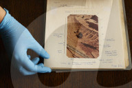 ‘Prickles down the neck’: project reveals unsung female heroes of Sutton Hoo dig
Barbara Wagstaff and Mercie Lack’s photographs of 1939 excavation left in plastic bag at National Trust