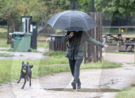 High winds and heavy rain expected for London today.