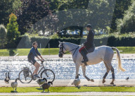 Sunny weather Hyde Park, London. 