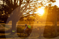 Sunrise in Richmond Park London.