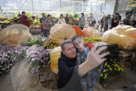 RUSSIA-MOSCOW-GIANT PUMPKIN