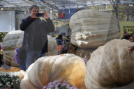 RUSSIA-MOSCOW-GIANT PUMPKIN