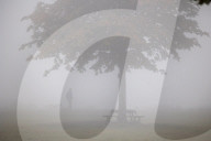 Dense fog on Wimbledon Commonthis morning as the Met Office issue yellow weather warnings.