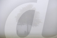 Dense fog on Wimbledon Commonthis morning as the Met Office issue yellow weather warnings.