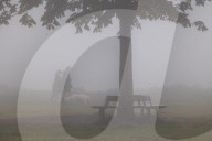 Dense fog on Wimbledon Commonthis morning as the Met Office issue yellow weather warnings.