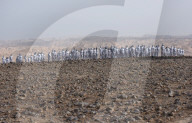 FEATURE -  Künstler Spencer Tunick fotografiert 200 nackte Menschen in der israelischen Wüste