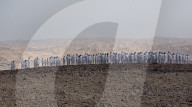 FEATURE -  Künstler Spencer Tunick fotografiert 200 nackte Menschen in der israelischen Wüste