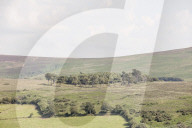 Cream teas at dawn: inside the war for the National Trust. 