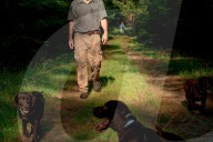 John Rucker and his dogs battle extreme weather, snakes and tough terrain to track turtles as their habitat is increasingly under threat.