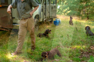 John Rucker and his dogs battle extreme weather, snakes and tough terrain to track turtles as their habitat is increasingly under threat.