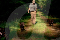 John Rucker and his dogs battle extreme weather, snakes and tough terrain to track turtles as their habitat is increasingly under threat.