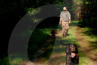 John Rucker and his dogs battle extreme weather, snakes and tough terrain to track turtles as their habitat is increasingly under threat.