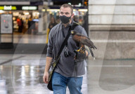 Ministers warn face masks could return this winter. 