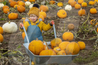 FEATURE - Selber ernten: Kürbisfarm bei Balgone Pumpkins in North Berwick