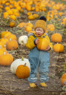 FEATURE - Selber ernten: Kürbisfarm bei Balgone Pumpkins in North Berwick