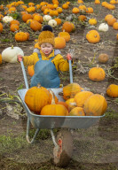 FEATURE - Selber ernten: Kürbisfarm bei Balgone Pumpkins in North Berwick