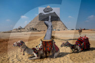 Contemporary Art Exhibition by the Pyramids - Giza