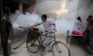 NEWS - Desinfektion gegen Dengue-Fieber in Neu-Delhi