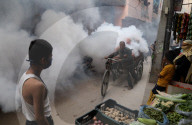 NEWS - Desinfektion gegen Dengue-Fieber in Neu-Delhi