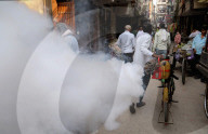NEWS - Desinfektion gegen Dengue-Fieber in Neu-Delhi