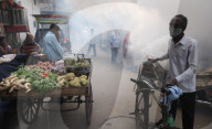 NEWS - Desinfektion gegen Dengue-Fieber in Neu-Delhi