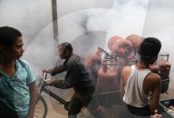 NEWS - Desinfektion gegen Dengue-Fieber in Neu-Delhi