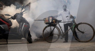 NEWS - Desinfektion gegen Dengue-Fieber in Neu-Delhi