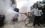 NEWS - Desinfektion gegen Dengue-Fieber in Neu-Delhi