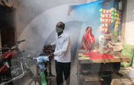 NEWS - Desinfektion gegen Dengue-Fieber in Neu-Delhi