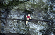 Following the trench warfare in the poppy fields of Flanders, Belgium during World War I, poppies have become a symbol of remembrance of soldiers who have died during wartime.
