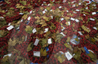 Following the trench warfare in the poppy fields of Flanders, Belgium during World War I, poppies have become a symbol of remembrance of soldiers who have died during wartime.