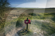 Following the trench warfare in the poppy fields of Flanders, Belgium during World War I, poppies have become a symbol of remembrance of soldiers who have died during wartime.
