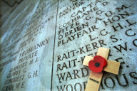 Following the trench warfare in the poppy fields of Flanders, Belgium during World War I, poppies have become a symbol of remembrance of soldiers who have died during wartime.