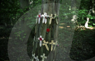 Following the trench warfare in the poppy fields of Flanders, Belgium during World War I, poppies have become a symbol of remembrance of soldiers who have died during wartime.