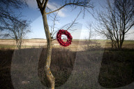 Following the trench warfare in the poppy fields of Flanders, Belgium during World War I, poppies have become a symbol of remembrance of soldiers who have died during wartime.