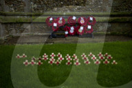 Following the trench warfare in the poppy fields of Flanders, Belgium during World War I, poppies have become a symbol of remembrance of soldiers who have died during wartime.