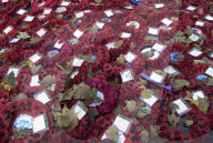 Following the trench warfare in the poppy fields of Flanders, Belgium during World War I, poppies have become a symbol of remembrance of soldiers who have died during wartime.