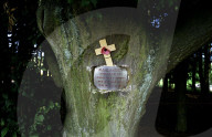 Following the trench warfare in the poppy fields of Flanders, Belgium during World War I, poppies have become a symbol of remembrance of soldiers who have died during wartime.