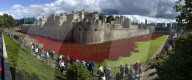 Following the trench warfare in the poppy fields of Flanders, Belgium during World War I, poppies have become a symbol of remembrance of soldiers who have died during wartime.