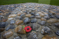 Following the trench warfare in the poppy fields of Flanders, Belgium during World War I, poppies have become a symbol of remembrance of soldiers who have died during wartime.