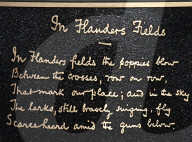 Following the trench warfare in the poppy fields of Flanders, Belgium during World War I, poppies have become a symbol of remembrance of soldiers who have died during wartime.