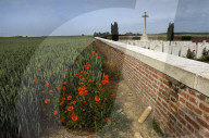 Following the trench warfare in the poppy fields of Flanders, Belgium during World War I, poppies have become a symbol of remembrance of soldiers who have died during wartime.