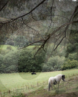 Great walk with a great pub. A walk around Llanwrytd Wells.